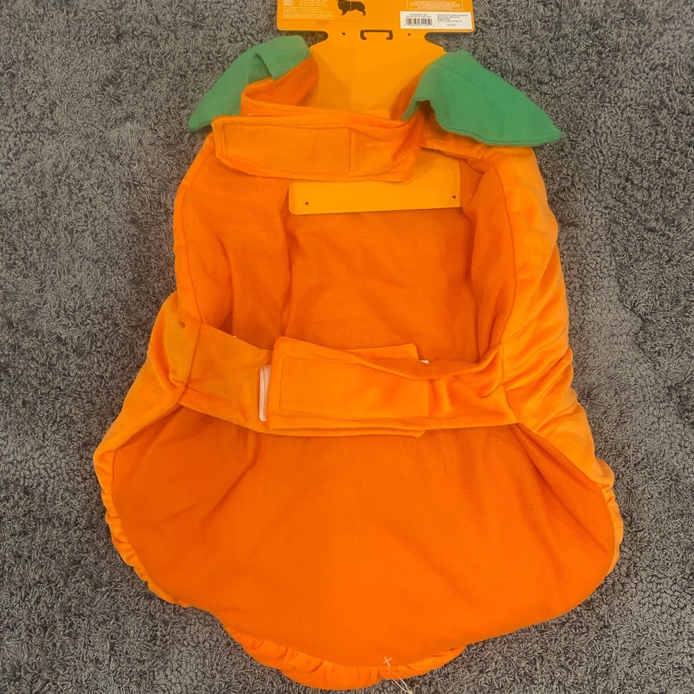 Pumpkin Jack O'Lantern Dog Costume - Orange - Picture 5 of 7